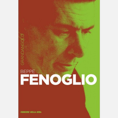 Book Cover: Beppe Fenoglio n.34