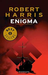 Book Cover: Enigma