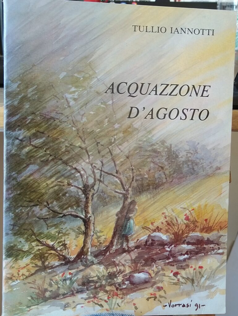 Book Cover: Acquazzone D'Agosto